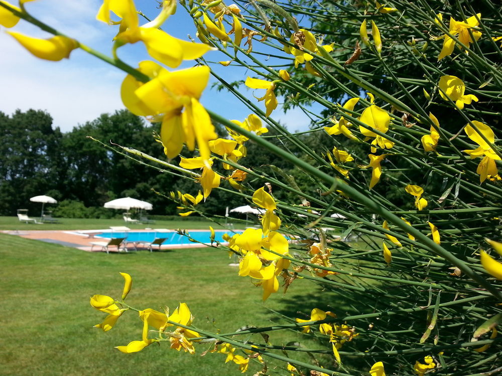 Pratello Country Resort Ghizzano Eksteriør bilde